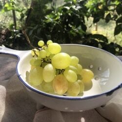 Colapasta in ceramica smaltato – Bianco