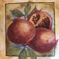 Busta Profumata Pomegranates – 115ml