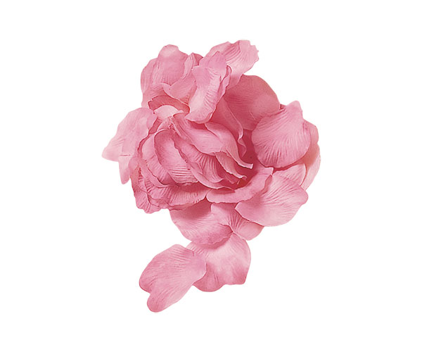 Confezioni Petali – Rosa antico