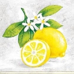 Tovaglioli piccoli di carta 3 veli – Limoni