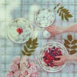Set 6 Piatti dessert in ceramica – Moss Rose