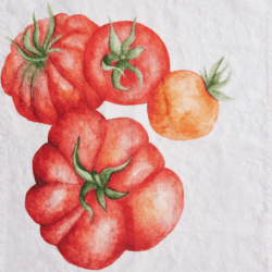 Canovaccio in lino – Pomodori