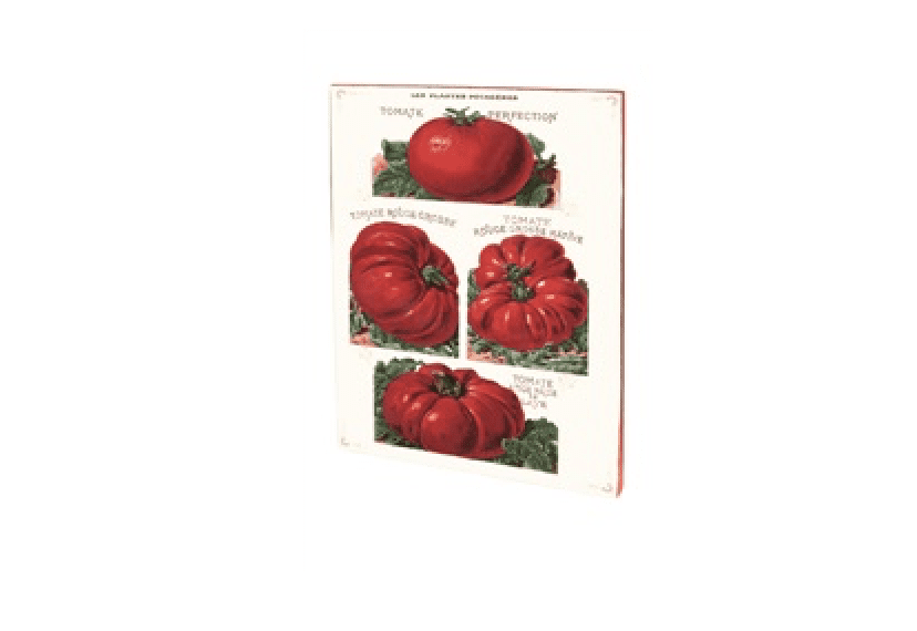 Quaderno vintage A5 – Pomodori