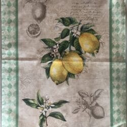 Canovaccio cotone – Limone verde
