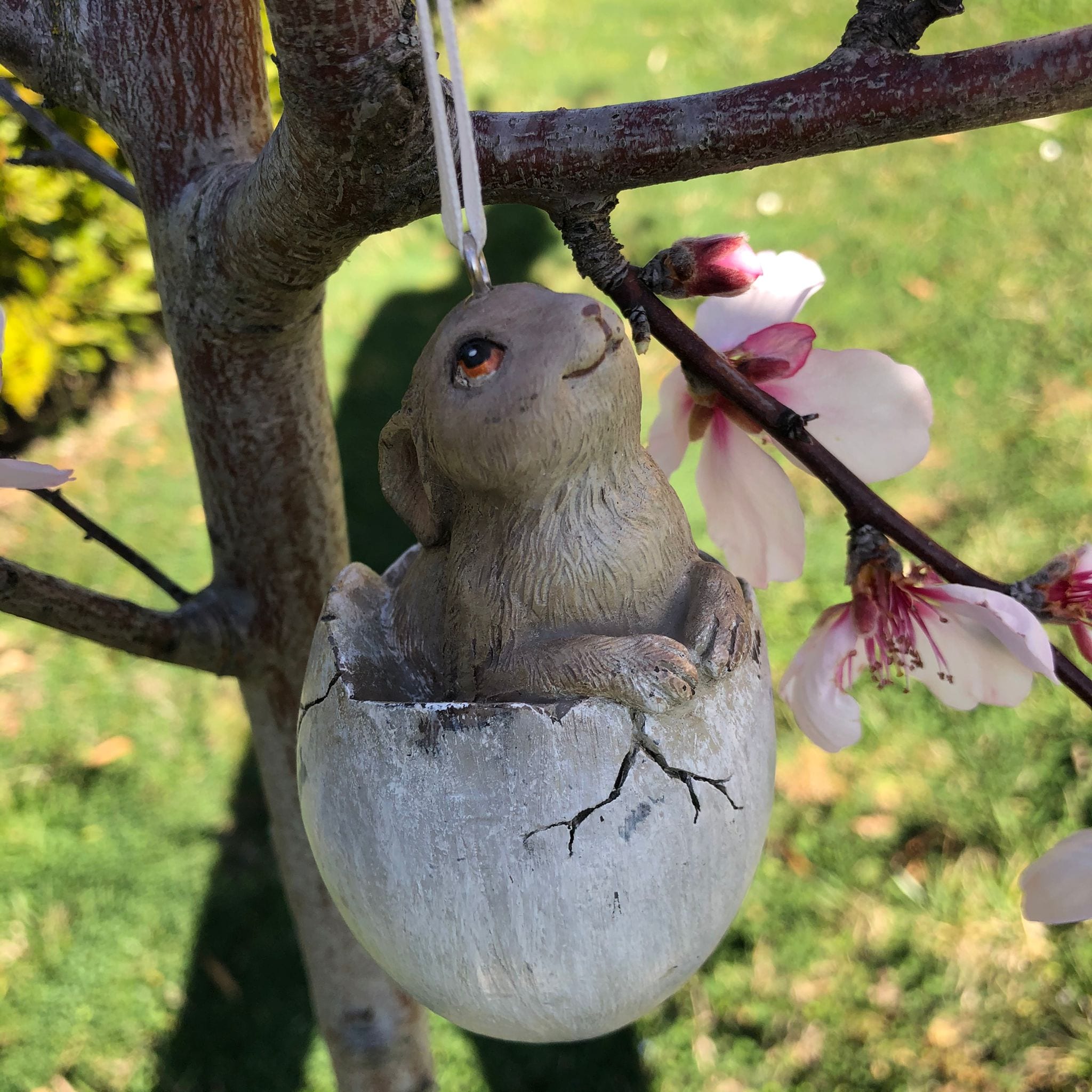 Decorazione con coniglietto in uovo – Musino in su