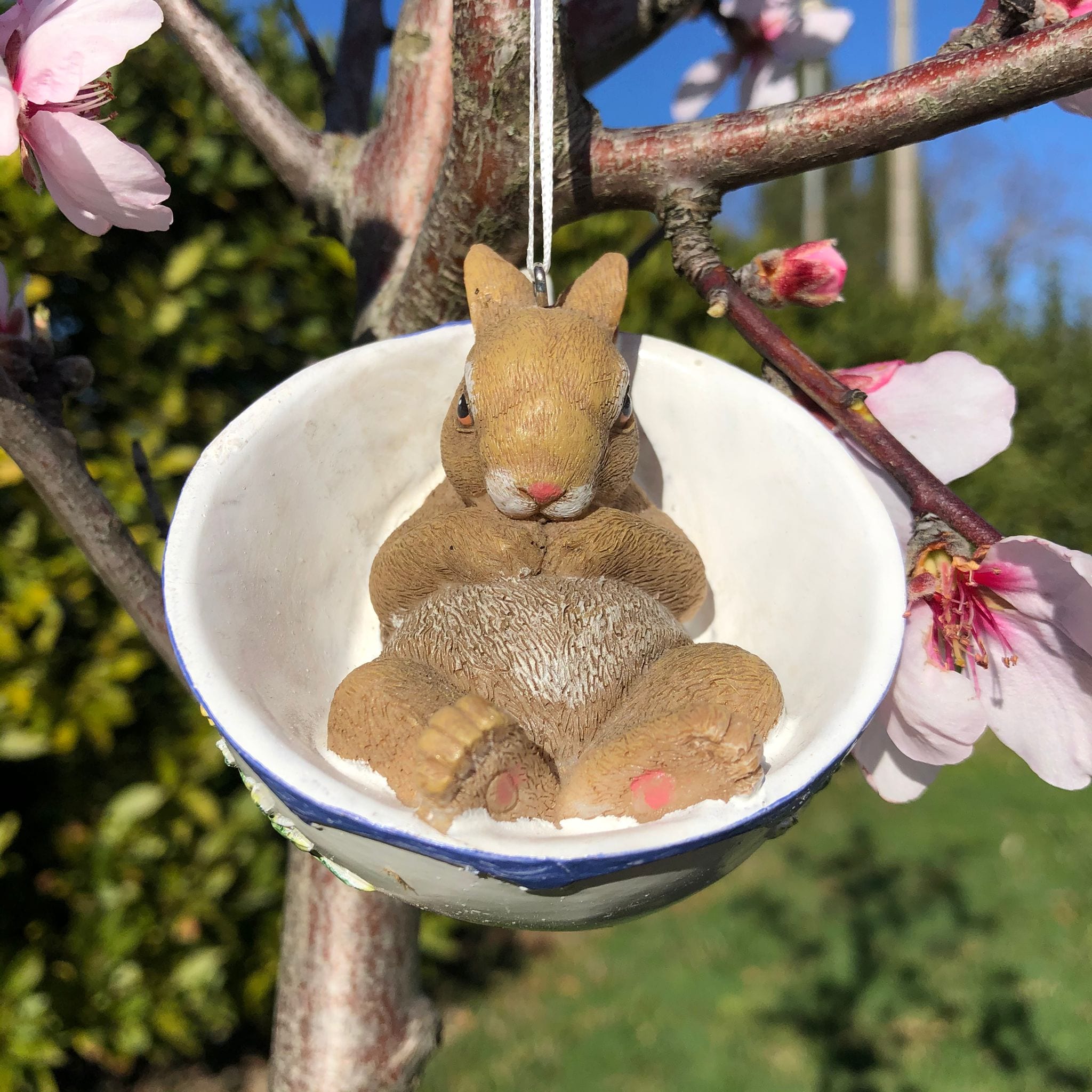 Decorazione con coniglio in relax dentro una tazza