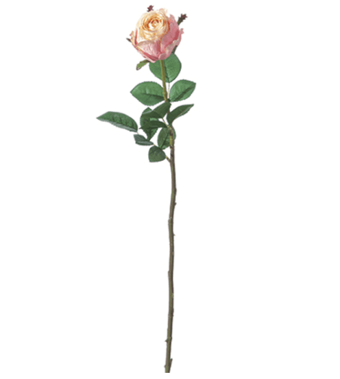 Bocciolo di rose maxi – Rosa