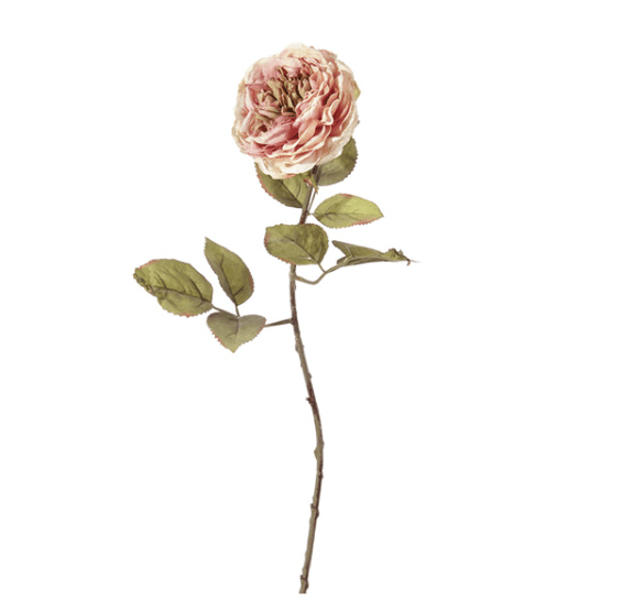 Rosa Margareth finto secco – Rosa