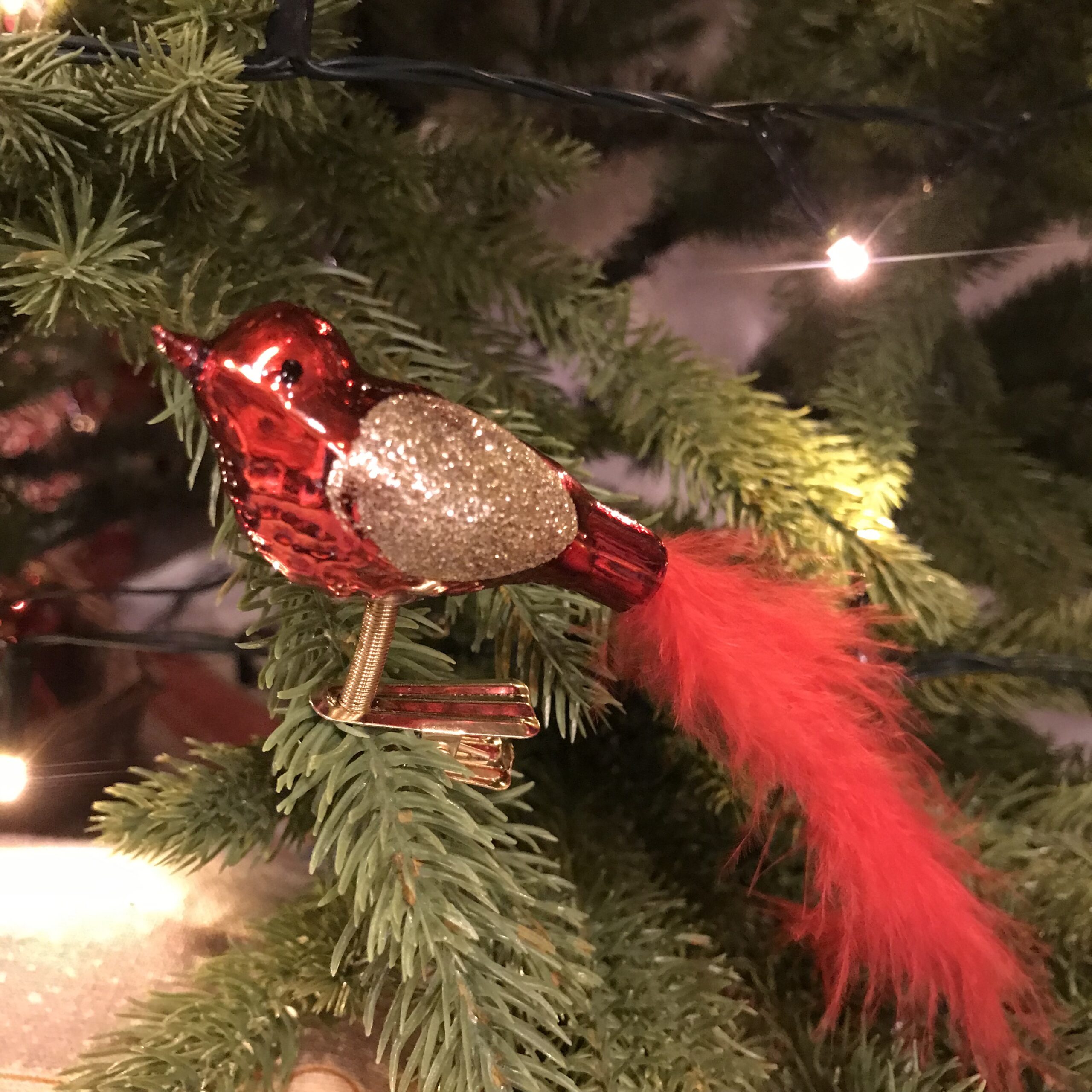 Uccello natalizio rosso e oro con clip