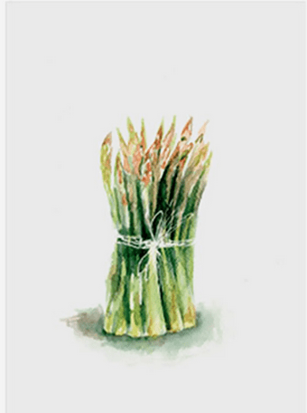 Canovaccio in cotone – asparagi