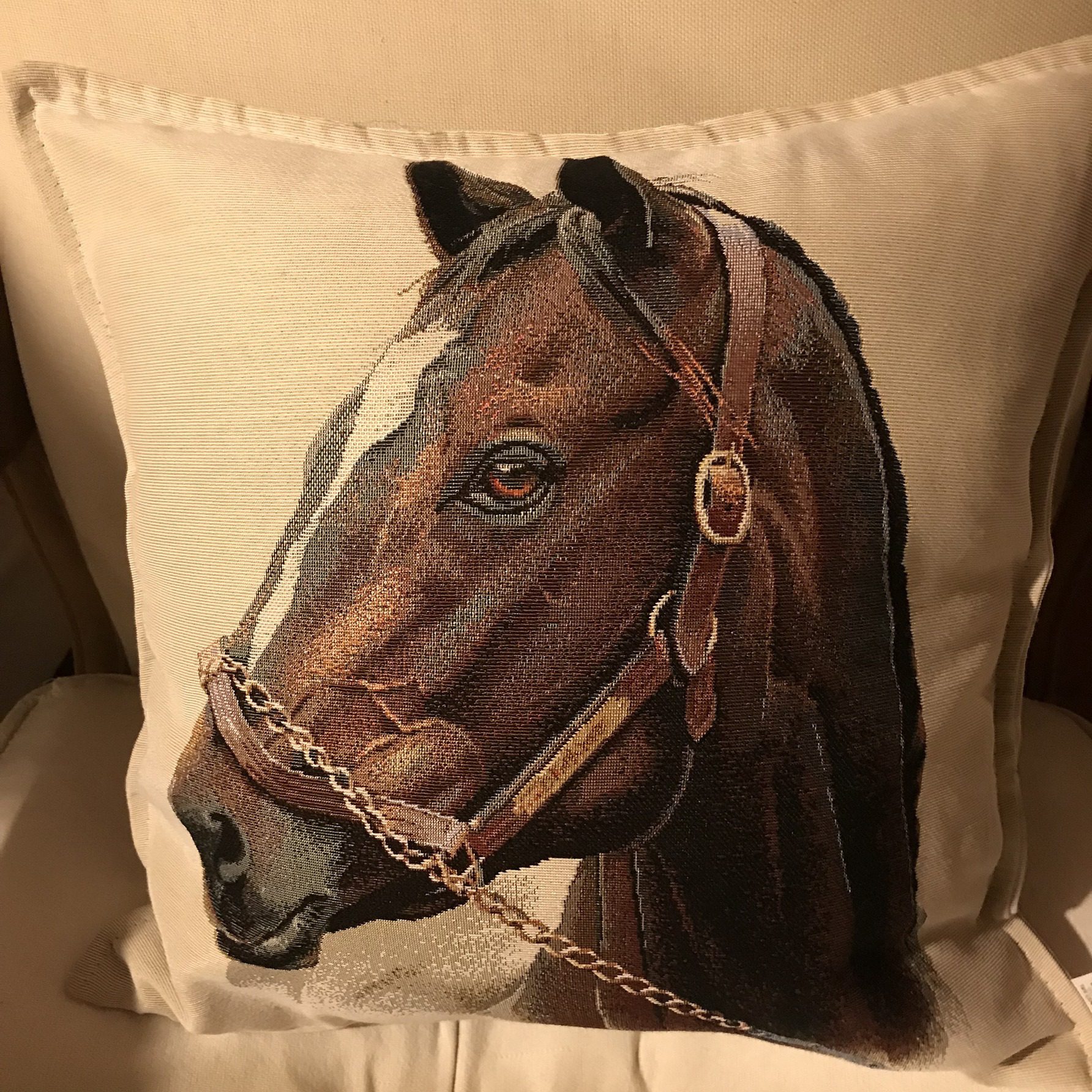 Cuscino quadrato – Cavallo